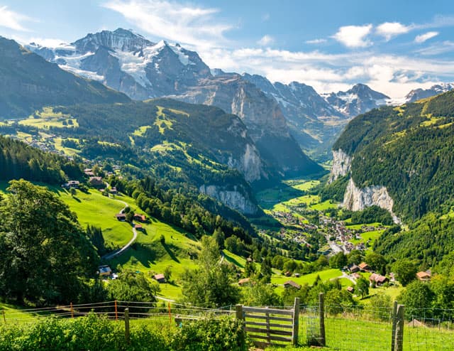 Bazel